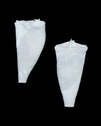 CC Toys Trevon Lossanto Version: Sock Inserts (White)