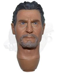 POP Toys The Leader of Shadow Alliance Master Ninja, Armor Version: Head Sculpt