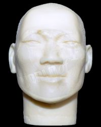 Asian Head Sculpt (Version Seven)